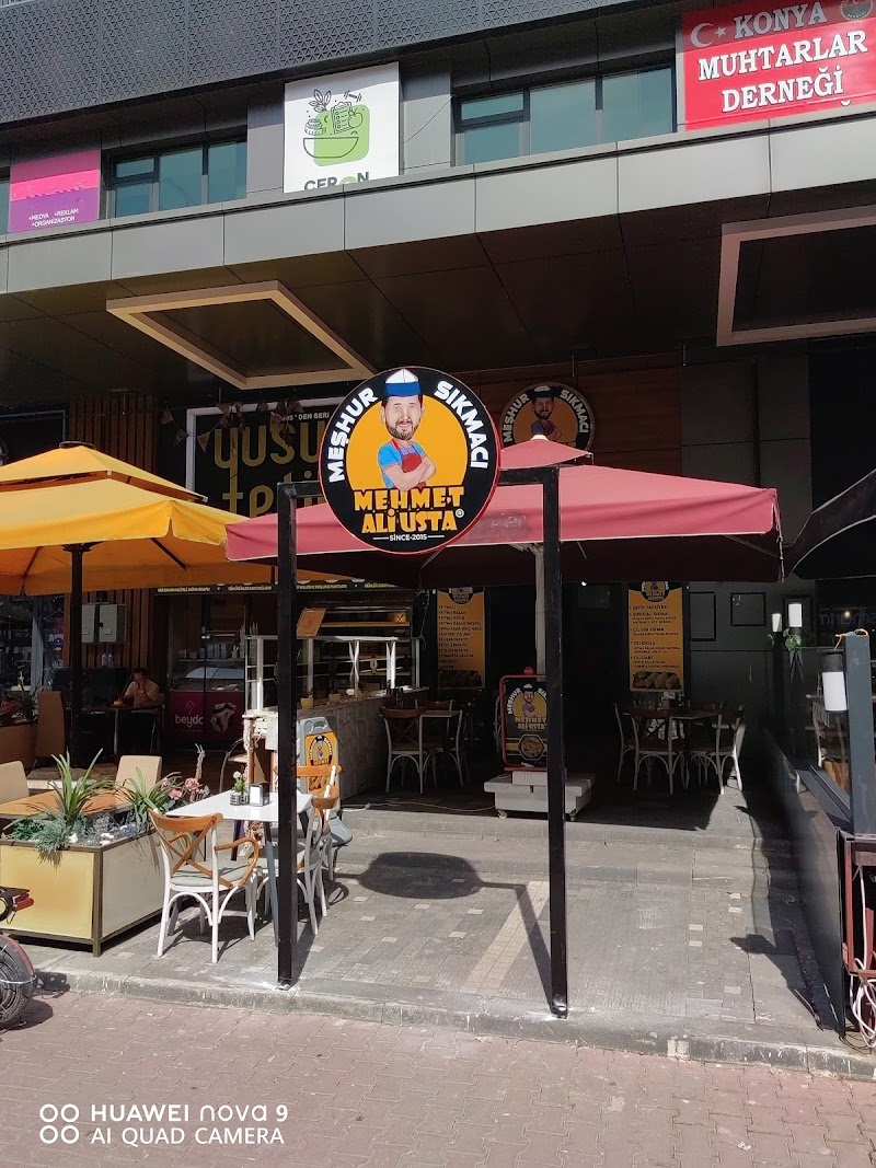 Mᴇꜱ̧ʜᴜʀ ꜱıᴋᴍᴀᴄı Mᴇʜᴍᴇᴛ Aʟɪ ᴜꜱᴛᴀ