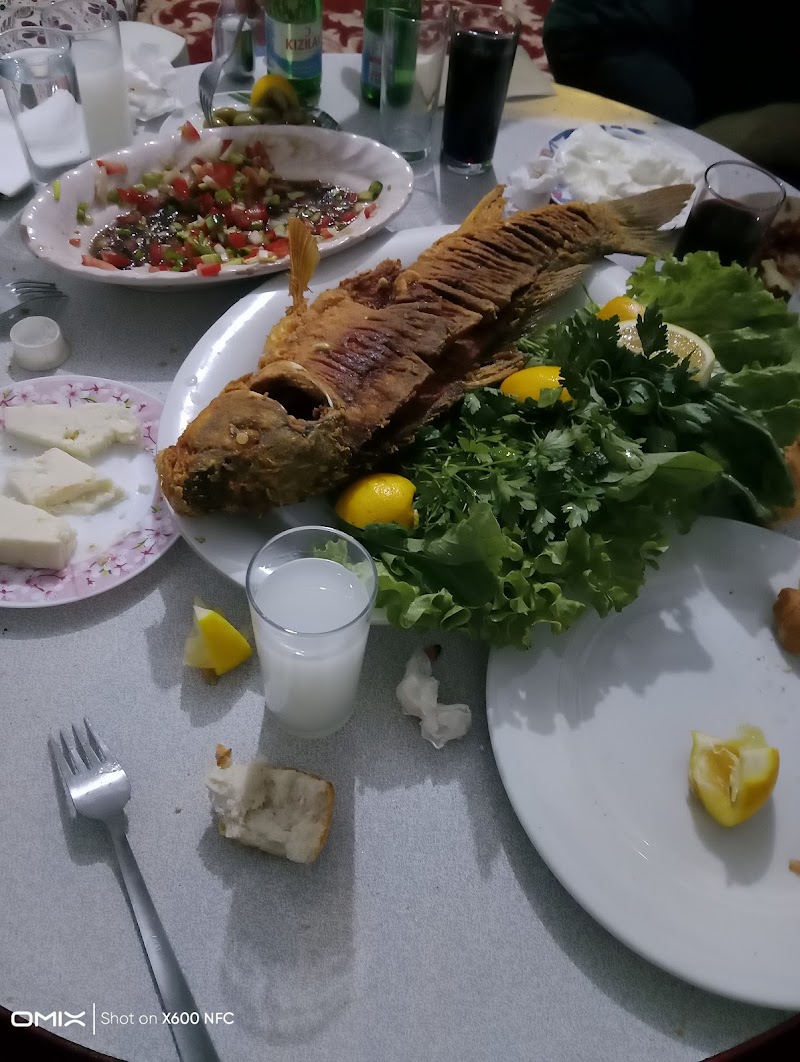 TERASS BAR RESTAURANT Tüm