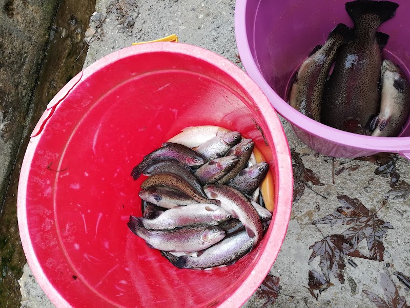 Göksu Alabalık Tesisleri