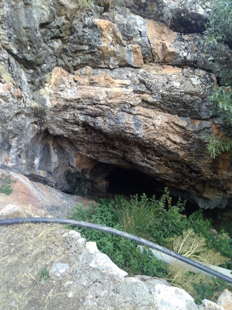 Su Çıktığı Balık Tesisleri