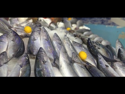 ENSAR BALIK RESTORANT