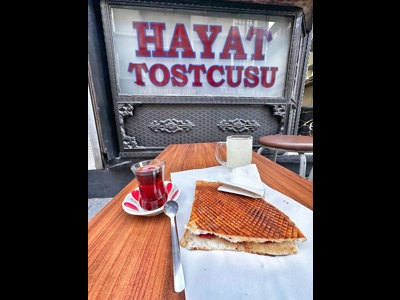 Hayat Tostcusu