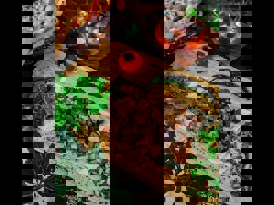 BAŞAR MANGAL DÜNYASI