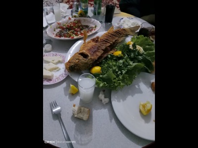 TERASS BAR RESTAURANT Tüm