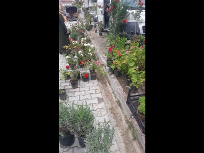 Yenibahar Ekmek Fabrikasi